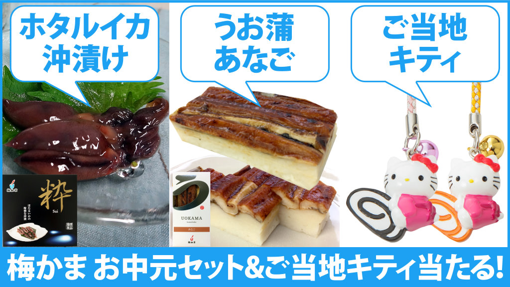 夏に嬉しい蒲鉾お中元ギフト＆ご当地キティが当たる！｜梅かまブログ